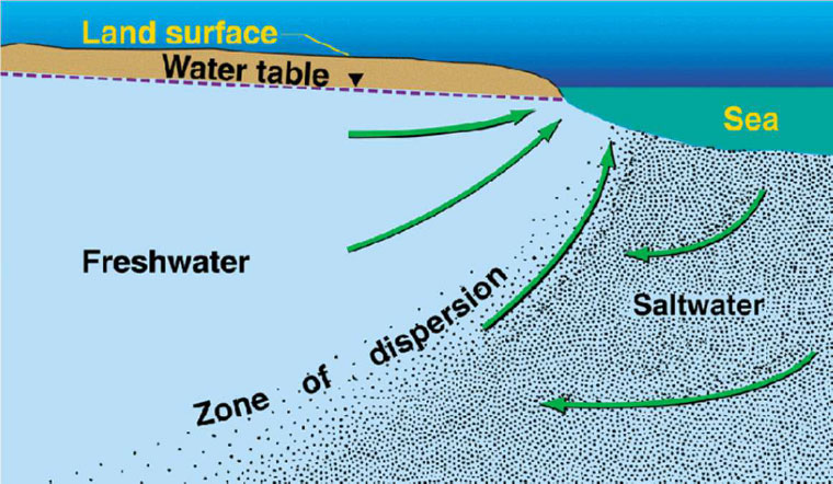 A scientific cross-section diagram from the USGS illustrating the interface between freshwater and saltwater beneath a coastline. Green arrows show freshwater flowing toward the sea above a "zone of dispersion," where it meets denser saltwater. The diagram labels the land surface, water table, and the sea to show how saltwater wedges beneath the freshwater inland.