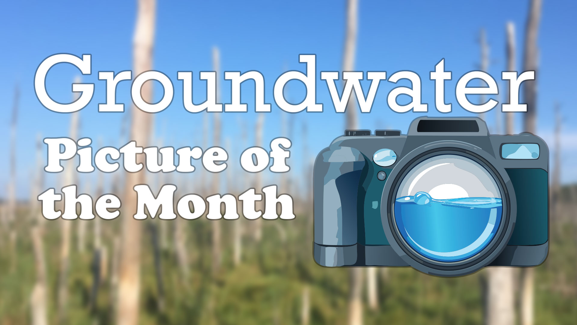 Groundwater Picture of the Month – February 2026
